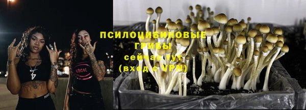 ПСИЛОЦИБИНОВЫЕ ГРИБЫ Арсеньев