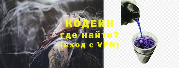 ПСИЛОЦИБИНОВЫЕ ГРИБЫ Арсеньев
