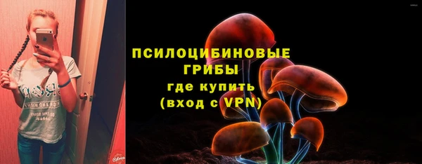 дмт Аркадак