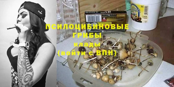 ПСИЛОЦИБИНОВЫЕ ГРИБЫ Арсеньев