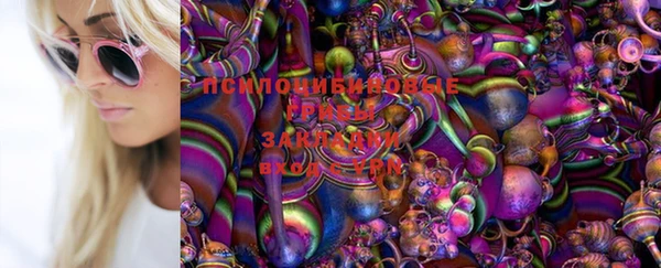 дмт Аркадак
