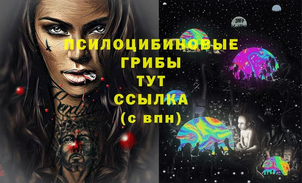дмт Аркадак
