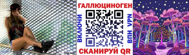Купить  Полысаево  Псилоцибиновые грибы Psilocybine cubensis 
